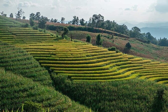 A Day Trip to Doi Inthanon Escape to Nature - Is It Worth the Price?