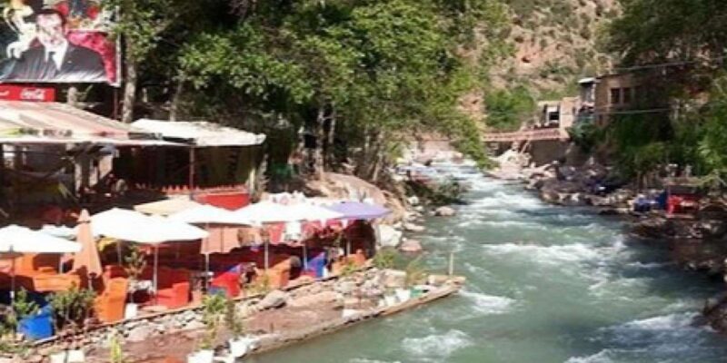 A day trip to Ourika valley and Atlas Mountains - Who Should Consider This Tour?