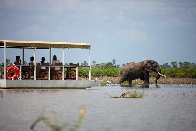 A Day Trip To Selous Fly From Zanzibar - Introduction: Why Consider a Day Trip to Selous?