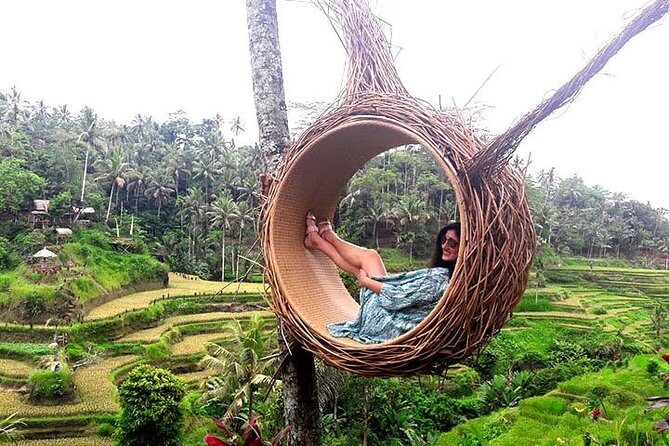 A Day Trip to Tukad Cepung & Rice Terrace - Key Points
