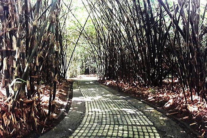 A Day Trip to Tukad Cepung & Rice Terrace - Authentic Experiences and Traveler Insights