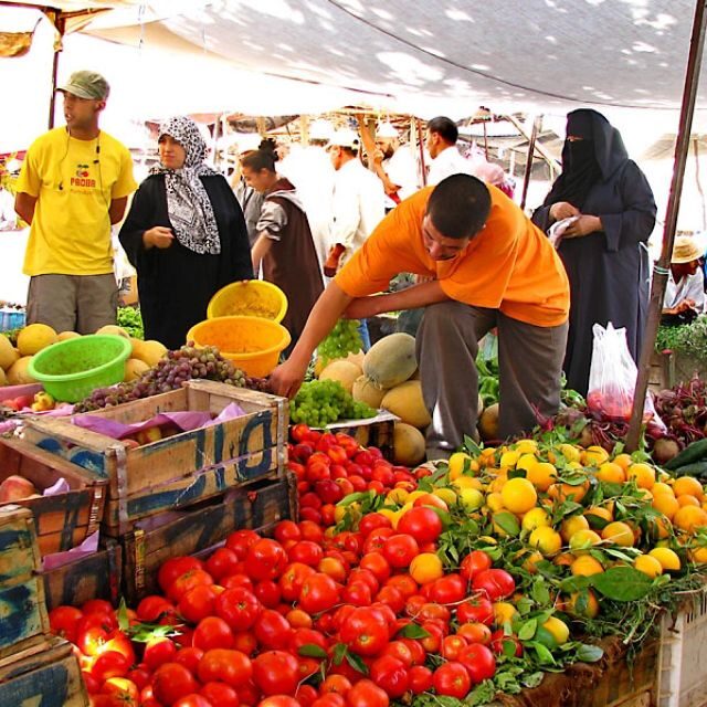 A Day With The Berbers - 3 Valleys Day Trip from Marrakech - Final Thoughts