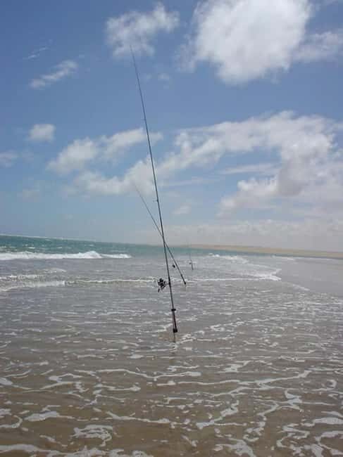 A day's fishing on the Atlantic coast (transport + lunch included) - The Sum Up