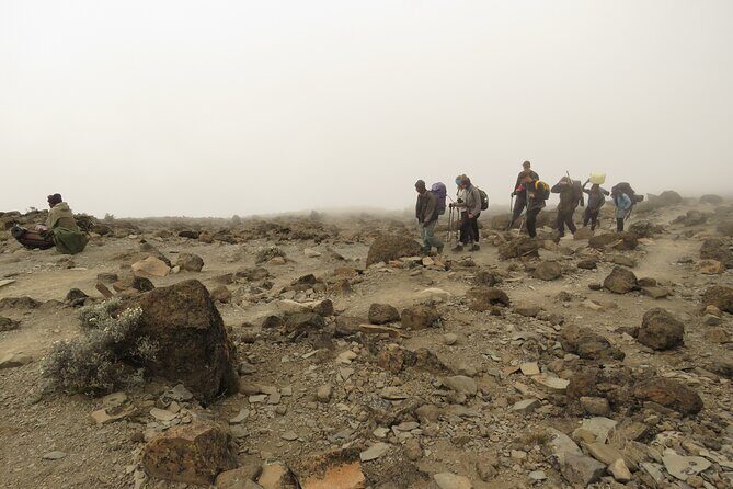 A Definitive Guide For the 7-day Kilimanjaro's Lemosho Route 2025 - The Experience: Atmosphere, Guides, and Support