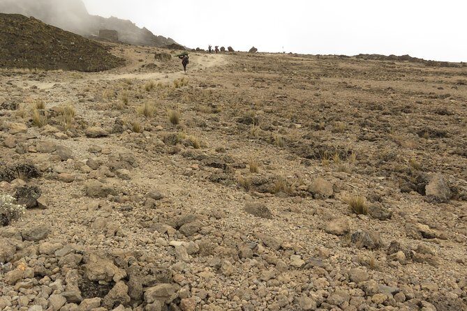 A Definitive Guide For the 7-day Kilimanjaro's Lemosho Route 2025 - Final Thoughts: Is This Tour for You?