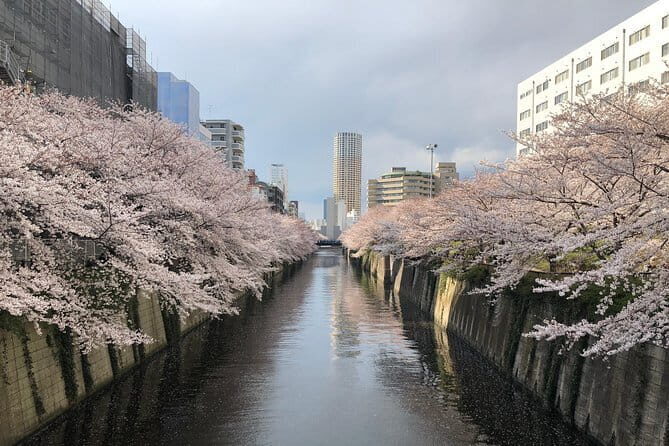 A Dreamy and Delicious Day in Tokyo - Key Points
