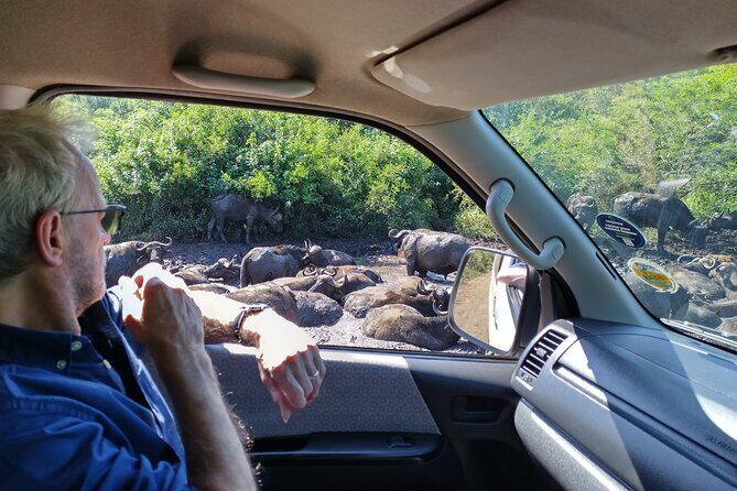 A Full Day Safari Tour to the Hluhluwe Imfolozi Big 5 Game Reserve - Who Should Book This Tour?