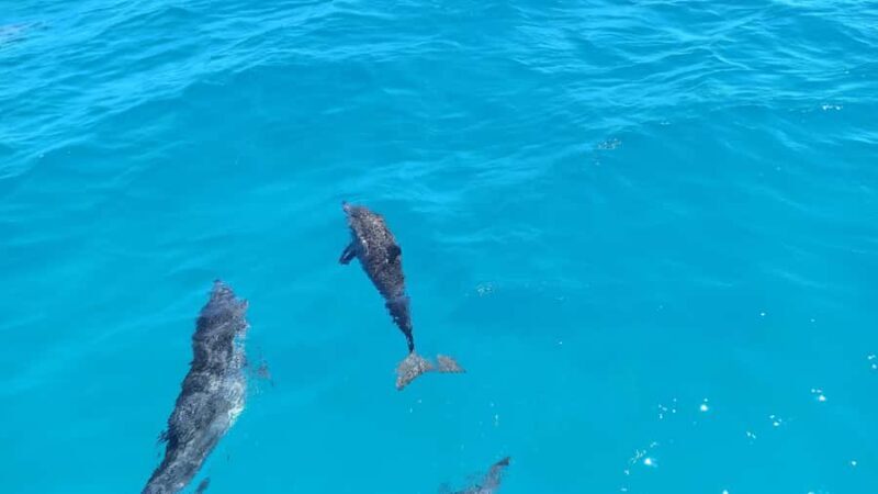 A full day to know Bora Bora with o-sea Bora Bora - Frequently Asked Questions