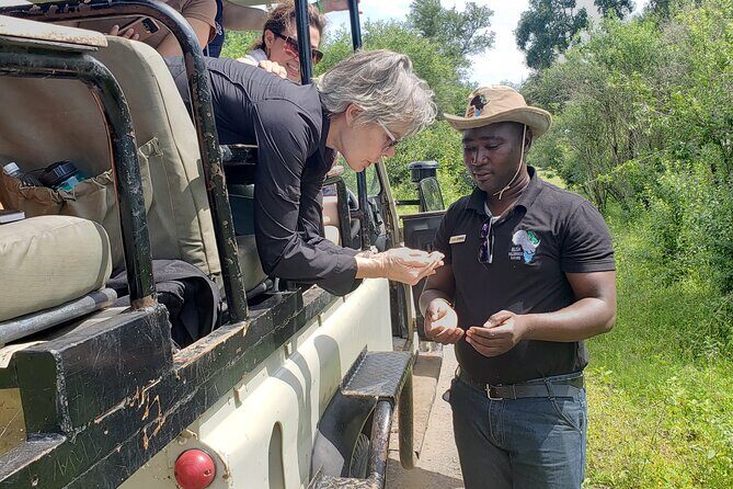 A Game Drive Plus White Rhino Short Walk - Key Points