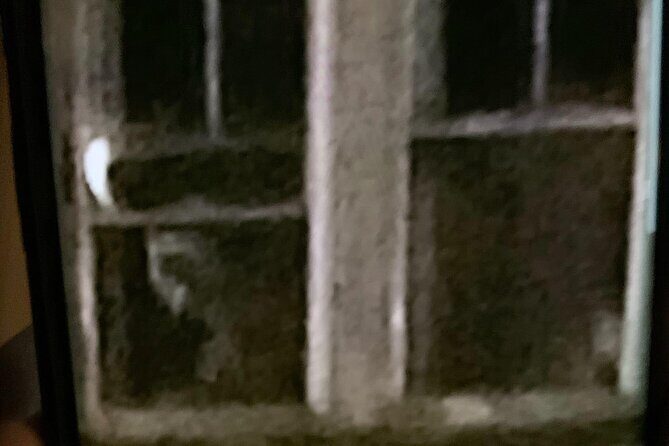 A Ghost Hunting Tour Specters and Apparitions in Salem - Who Will Love This Tour?