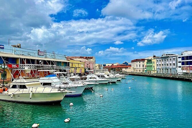 A Good Bajan Day - Bestselling Barbados Highlights Tour - Rihanna Drive: A Pop-Culture Snapshot