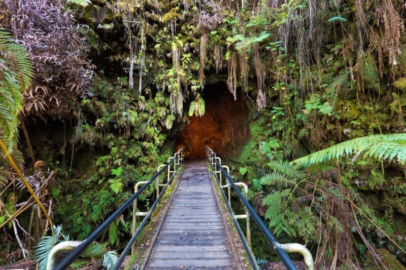 A Guided Hike Adventure: Kilauea Iki Crater and a Lava Tube - What Travelers Say