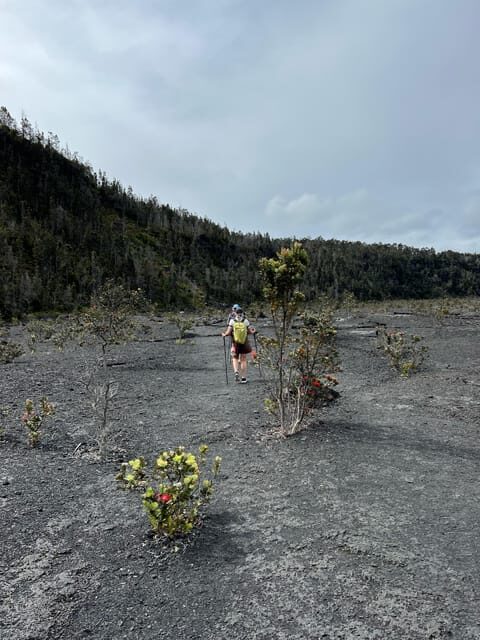 A Guided Hike Adventure: Kilauea Iki Crater and a Lava Tube - Practical Tips for Participants