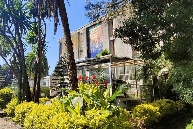 A Guided Tour of Addis Ababa That Includes a City Viewpoint - A Closer Look at the Tour Experience