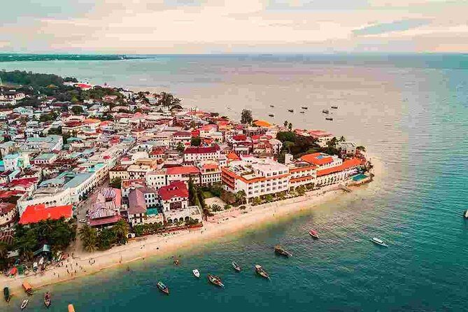 A Half Day Private Stone Town Tour - The Sum Up: Who Should Sign Up?