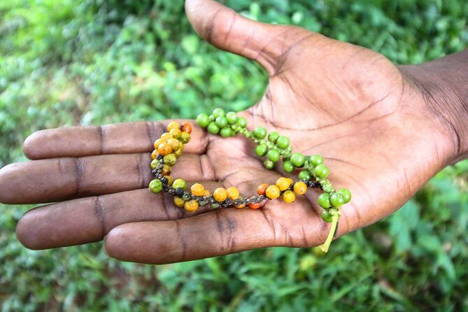 A Half Day Private Tour To Spice Farm - An In-Depth Look at the Zanzibar Spice Farm Tour