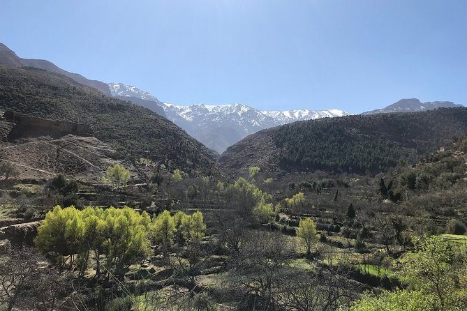 A Journey to Ourika Valley & Waterfall - Hiking to the Waterfalls