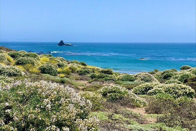 A La La Tour - Private Tour of California's Central Coast - Frequently Asked Questions