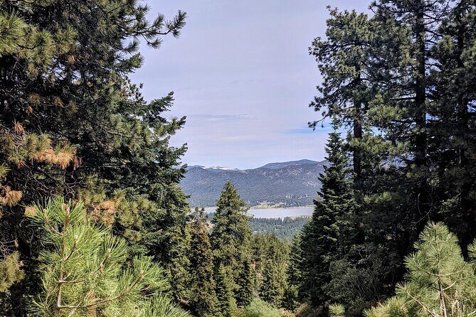 A Local's Favorite Hike in Big Bear with Lake Swimming Experience - Who Is This Tour Best For?