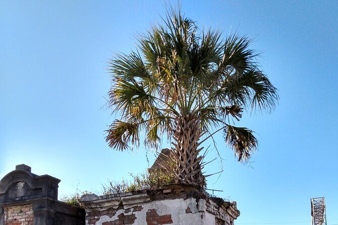 A Local's Garden District Tour - A Detailed Look at the Tour
