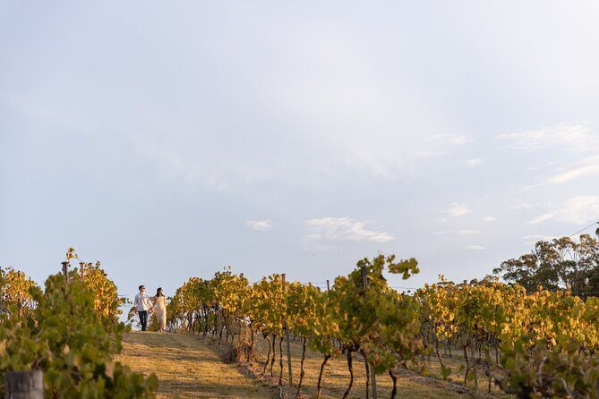 A Petit Pairing Sirromet Winery Food and Wine Matching - Who Is This Experience Best Suited For?