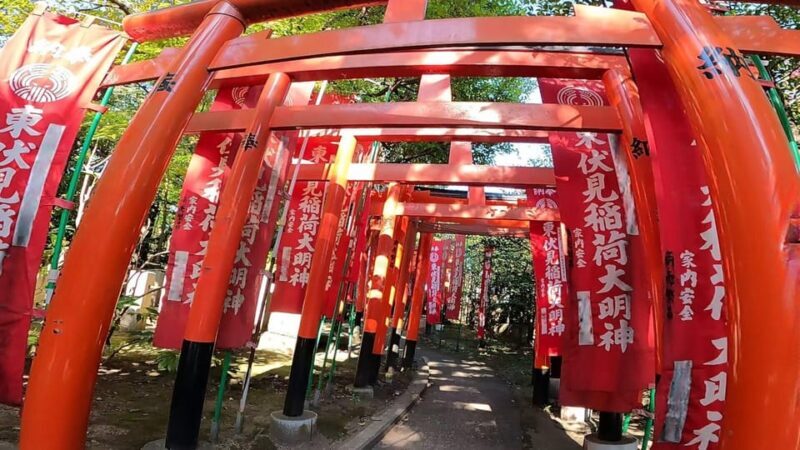 A private day in East Kyoto standard - Discovering Kyoto’s East Side: What to Expect