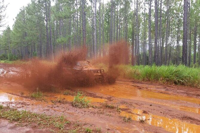 A Private Day in the Deep South in 4x4 Adventure mode - FAQ