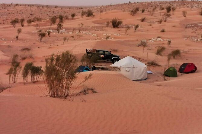 A Private Night at Desert Douz Tozeur - What to Expect from the Tour