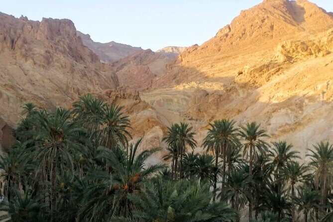 A Private Night at Desert Douz Tozeur - Authenticity and Personal Touches