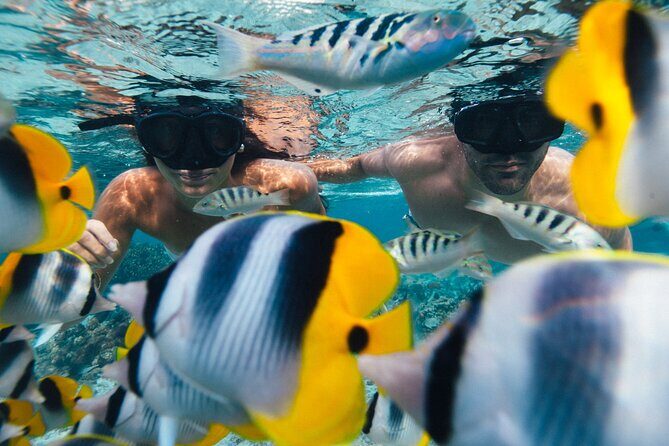 A private tour with Blue Lagoon - Authentic Experiences & Practical Details