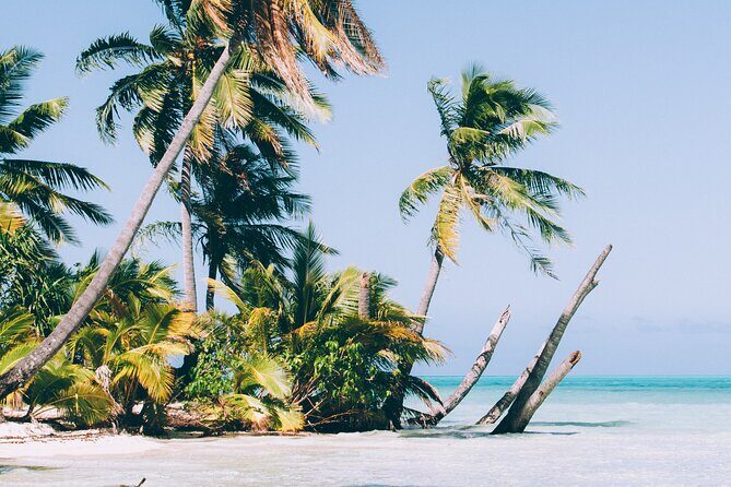 A private tour with Blue Lagoon - The Sum Up: Who Should Consider This Tour?