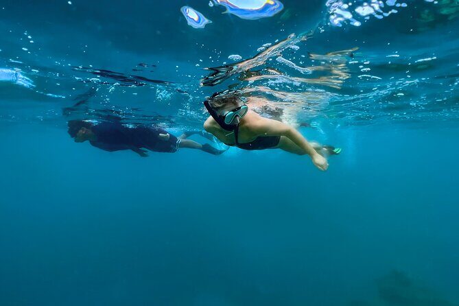 A Private TURTLE Tour on Rarotonga with Photography and Transfers - Final Thoughts