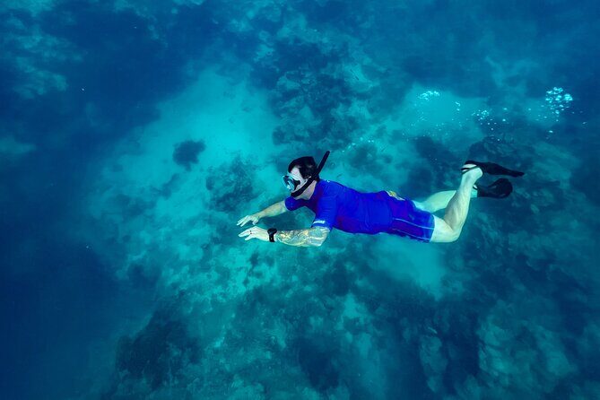 A Private TURTLE Tour on Rarotonga with Photography and Transfers - FAQs