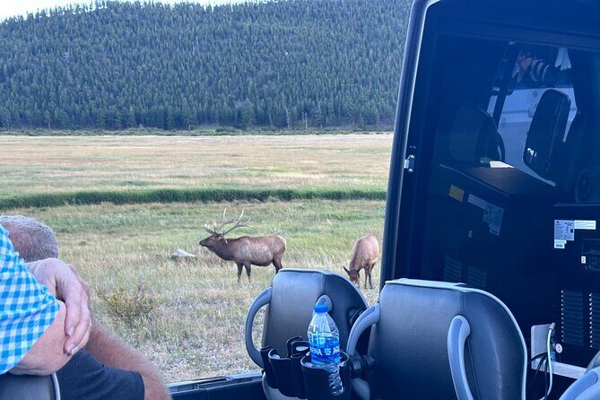 A Rutin' Good Time; Elk Tour in Rocky Mountain National Park - Frequently Asked Questions