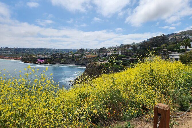 A Seaside Stroll: La Jolla's Hidden Treasures Self-Guided Tour - The Perfect Close: Local Craft Beer