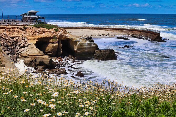 A Seaside Stroll: La Jolla's Hidden Treasures Self-Guided Tour - Who Should Consider This Tour?