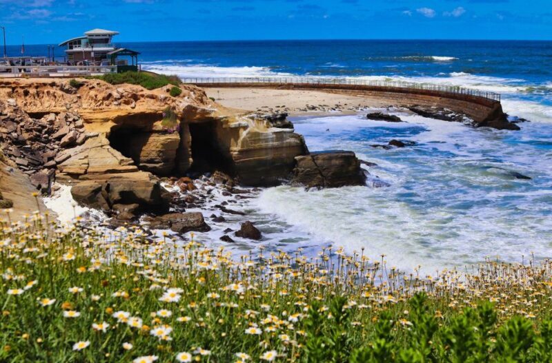A Seaside Stroll: La Jolla's Hidden Treasures Walking Tour - Frequently Asked Questions