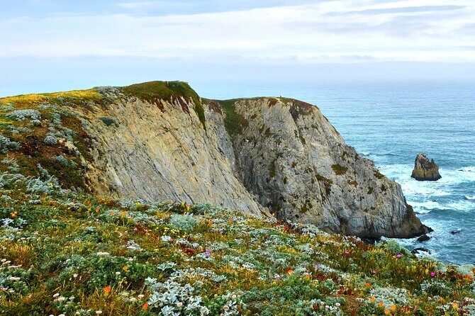 A Self-Guided Audio Tour Around Bodega Head - Exploring Bodega Head: An Authentic Coastal Adventure