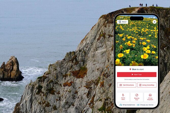 A Self-Guided Audio Tour Around Bodega Head - The Experience: A Step-by-Step Breakdown