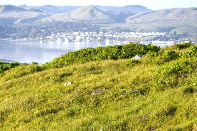 A Self-Guided Audio Tour Around Bodega Head - The Sum Up: The Value of the Bodega Head Audio Tour