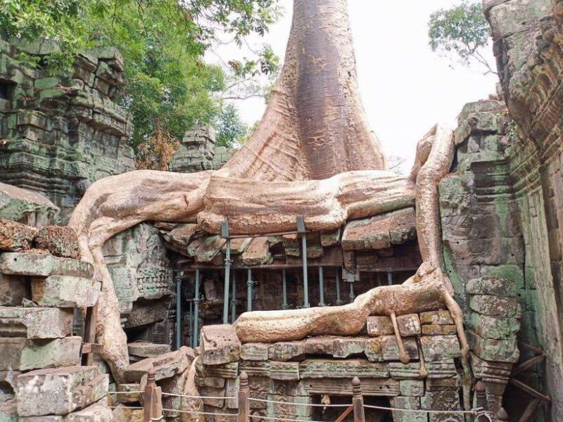A Small Sharing Tour to Angkor Temples - Final Thoughts: Who is This Tour For?