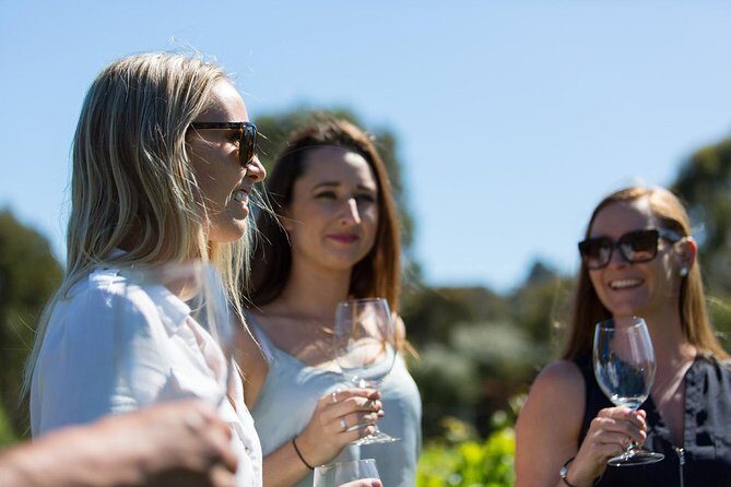 A Taste of Margaret River Seaplane Tour - Who Should Consider This Tour?