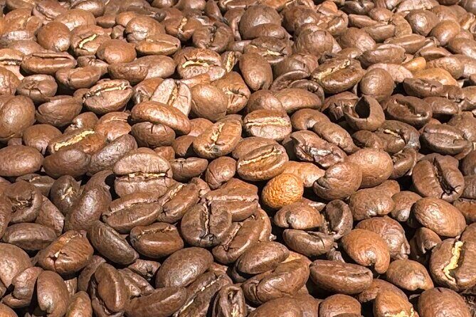 A Taste of Wellington: Wellington Foodie Delights Tour - Coffee Roasting and the Art of Bean to Cup