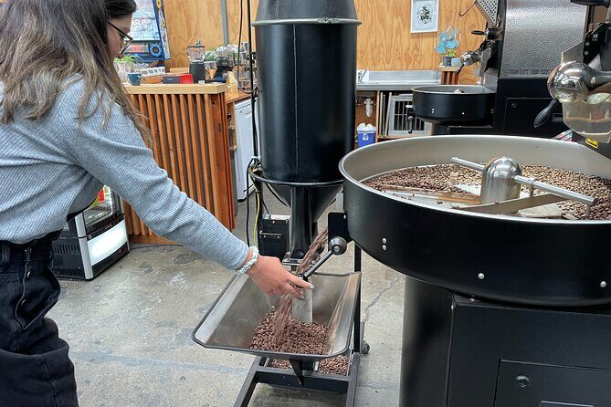 A Taste of Wellington: Wellington Foodie Delights Tour - Decadent Chocolate and French Cheese