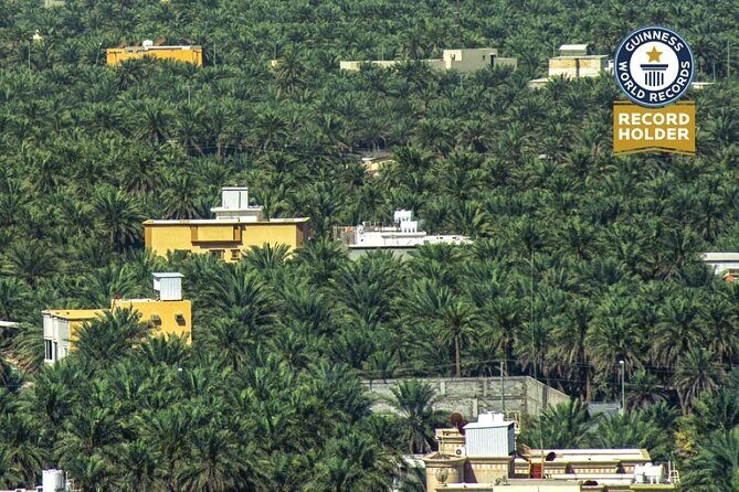 A tour in Al Ahsa the largest Oasis in the world - Who Should Consider This Tour?