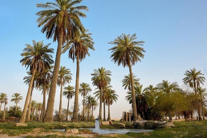 A tour in Al Ahsa the largest Oasis in the world - The Sum Up: Is This Tour Worth It?