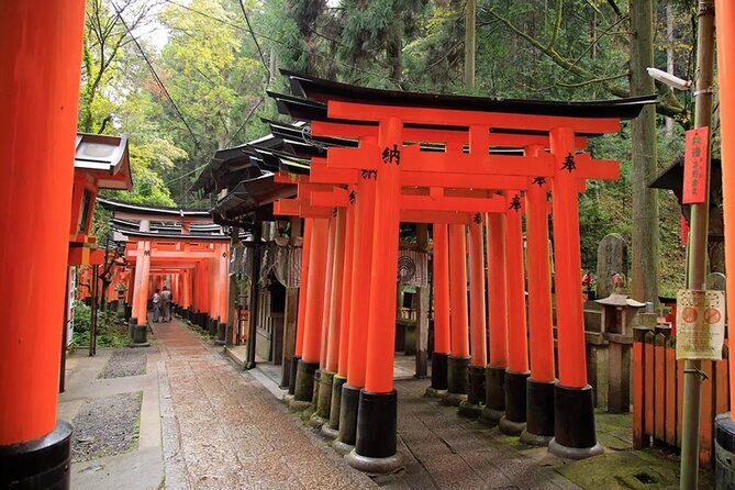 A trip to Kyoto and Osaka in one day - Is This Tour Right for You?