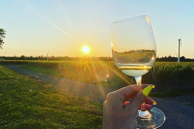 A Twilight Wine Adventure with 3-Course Dinner - Stop 3: Bella Terra Vineyards