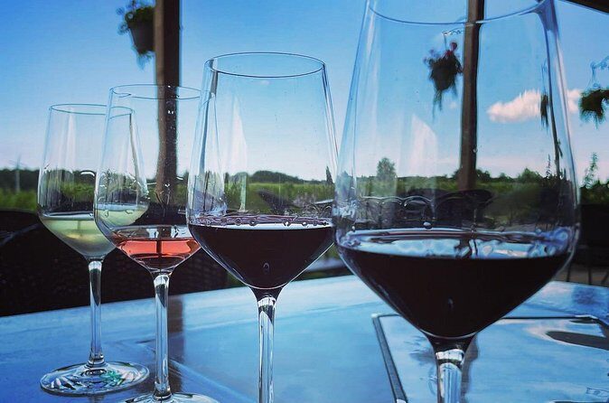 A Twilight Wine Adventure with 3-Course Dinner - Stop 4: Queenston Mile Vineyard