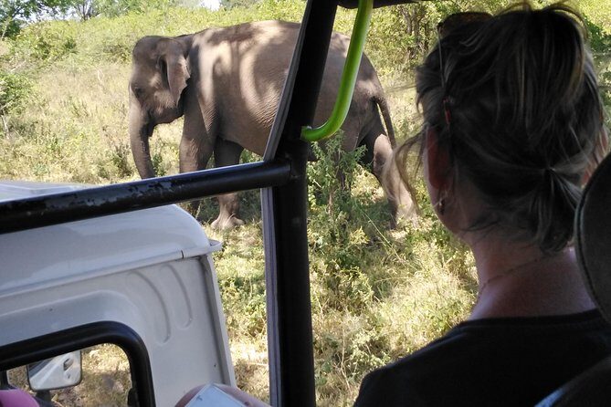 A Udawalawa Park safari, Tour from Colombo/Galle- (All inclusive) - Key Points